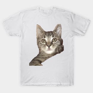 Tiny Baby Philip T-Shirt